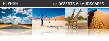 Desert Landscapes Worldwide Photo Collection